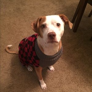 Meet your Posher, Morgan